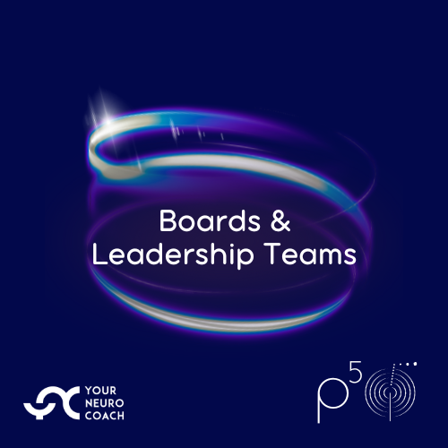 YNC P5 Executive Coaching - Boards and Leaders