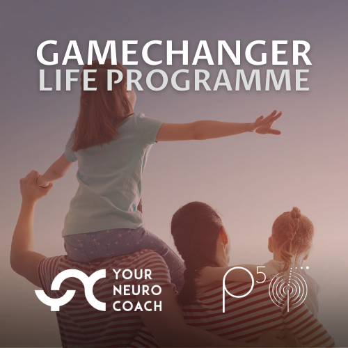 YNC Gamechanger Online Life Programme