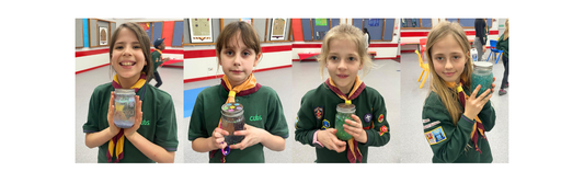 Teaching Money Skills to 60 Cub Scouts for the Scout Money Badge