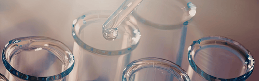 The Digital Laboratory: Safely Testing Tomorrow’s Financial Elements