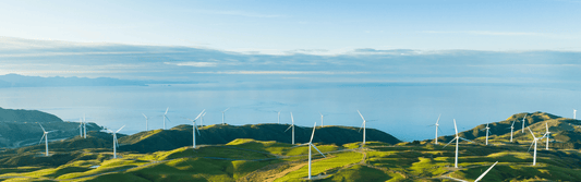 Profit with a Pulse, Sustainability and Ethics