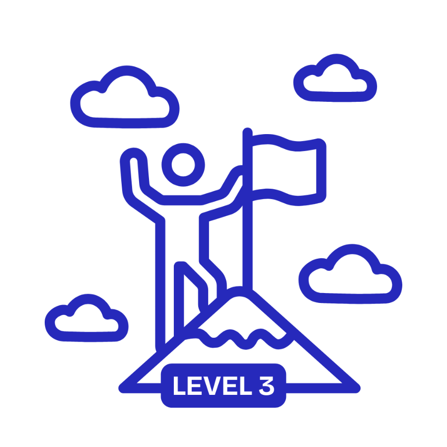 Blue icon of a person on a mountain peak with a flag, labeled 'Level 3', against a white background.