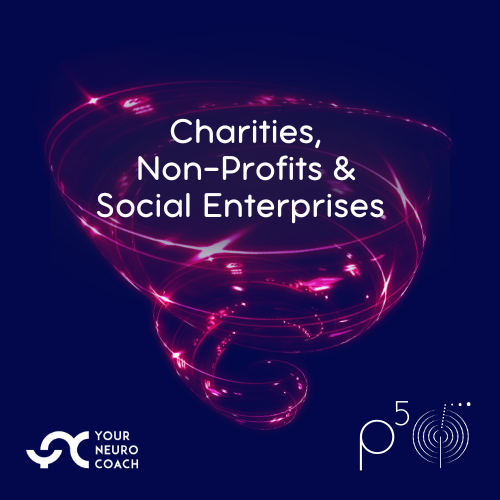 YNC P5 Executive Coaching - Charities, Non-Profits & Social Enterprises
